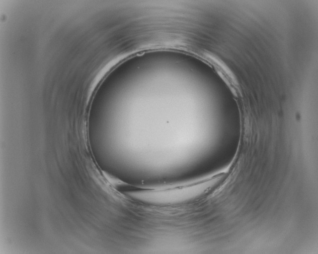 X0000075341340200609251002