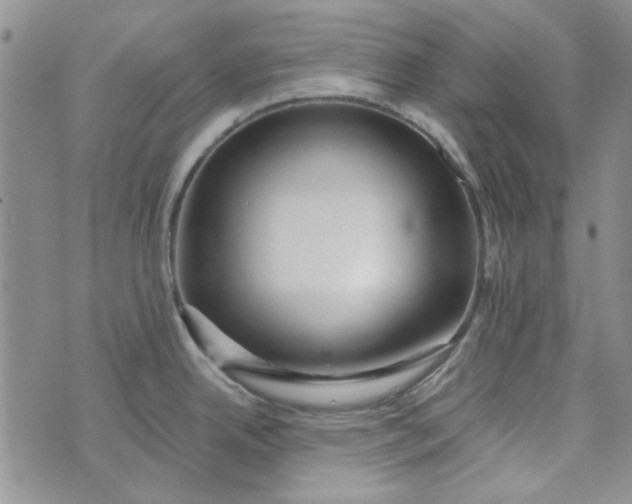 X0000075341342200609251002