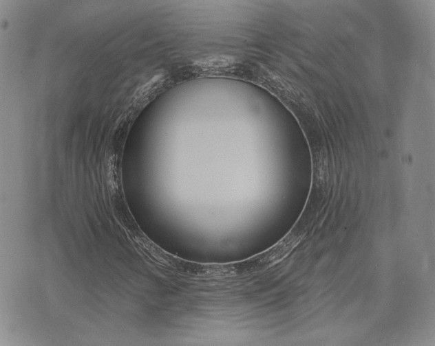 X0000075341346200609251001