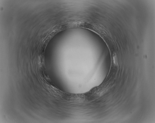 X0000075341347200609251001
