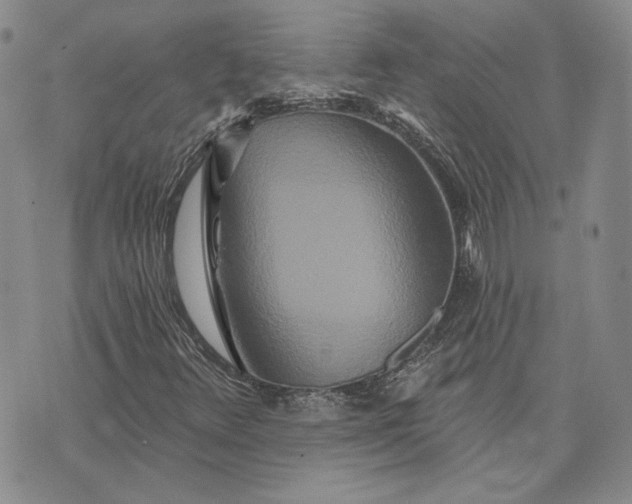 X0000075341348200609251001