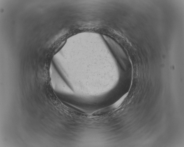 X0000075341350200609251001