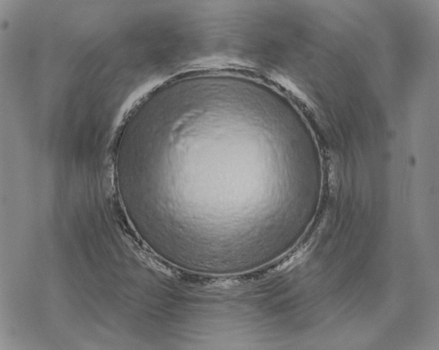 X0000075341358200609251001