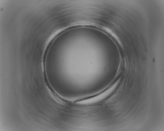 X0000075341372200609251001