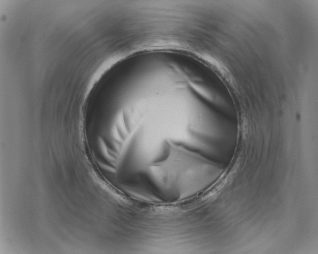 X0000075341374200609251001