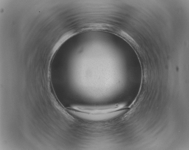 X0000075341378200609251001