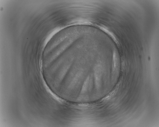 X0000075341383200609251001