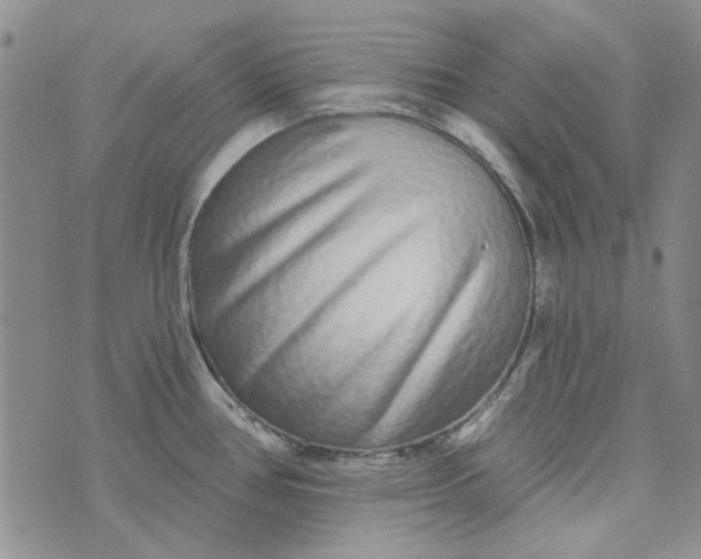 X0000075341386200609251001