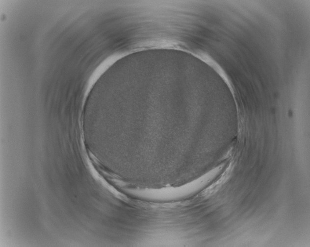 X0000075341389200609251001