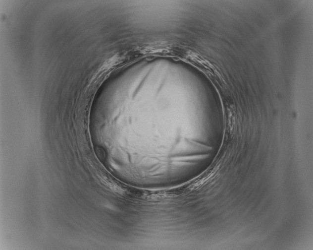 X0000075341393200609251000
