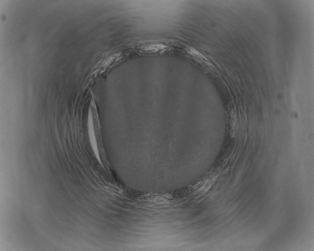 X0000075341394200609251000