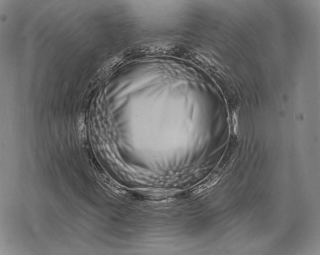 X0000075341395200609251000