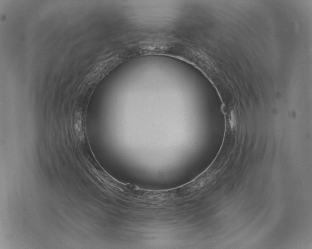 X0000075341396200609251000