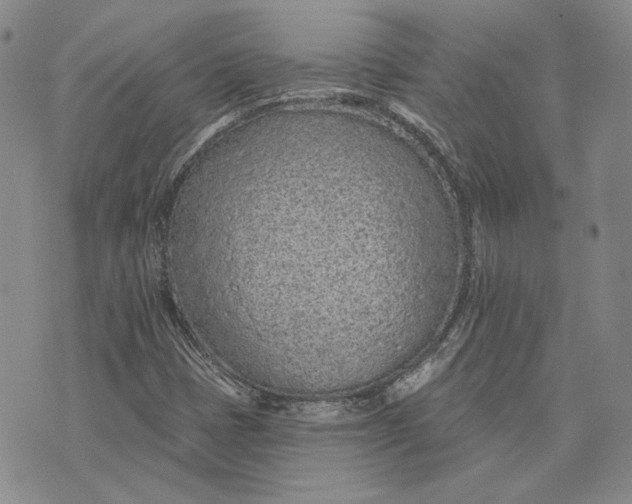 X0000075341401200609251000