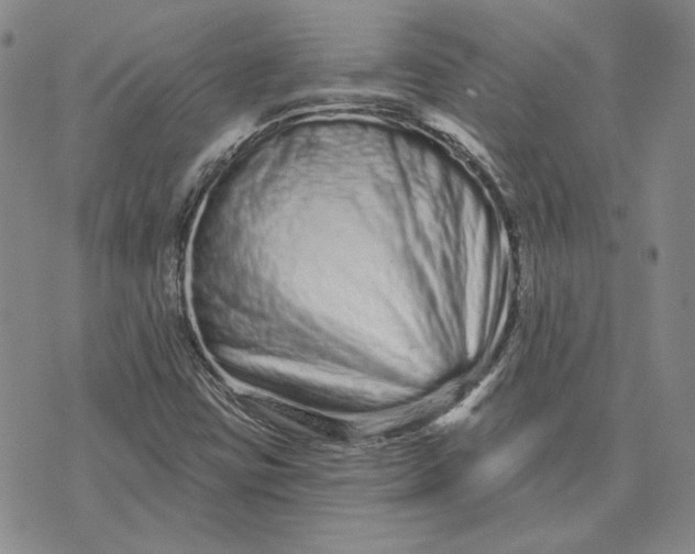 X0000075341403200609251000