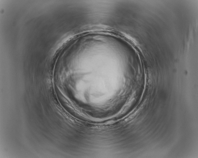 X0000075341407200609251000