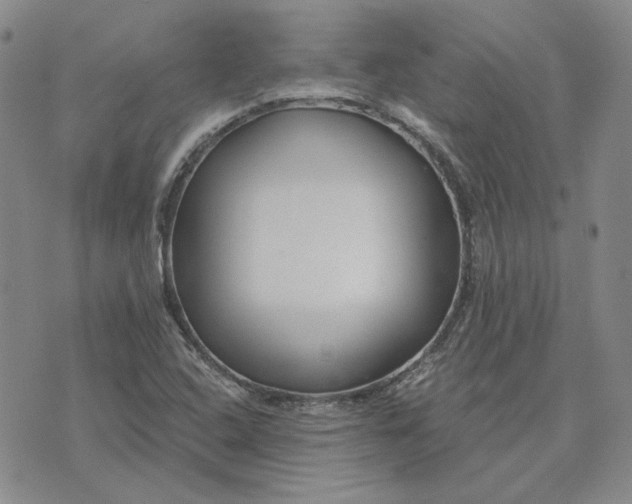 X0000075341408200609251000