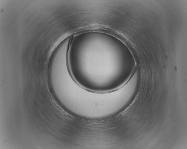 X0000075341410200609251000