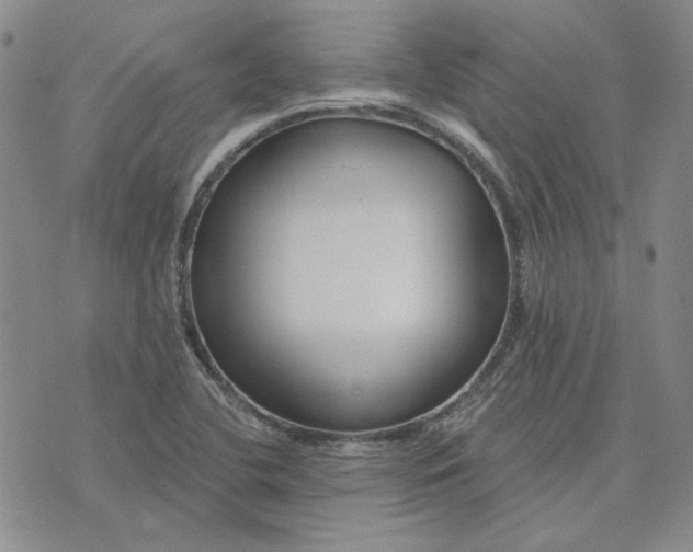 X0000075341412200609251000