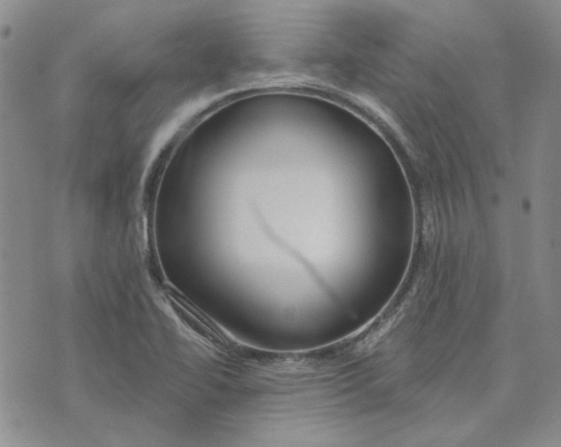 X0000075341414200609251000