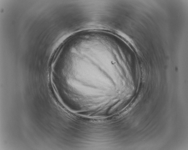 X0000075341415200609251000