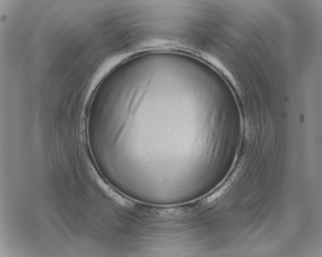 X0000075341421200609251000