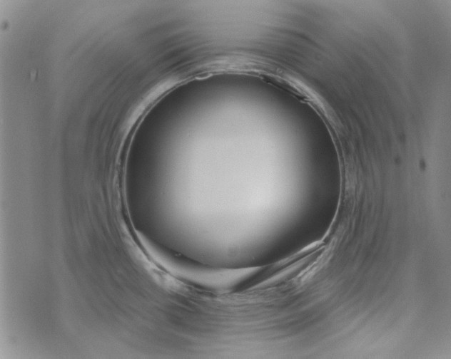 X0000075341434200609251001