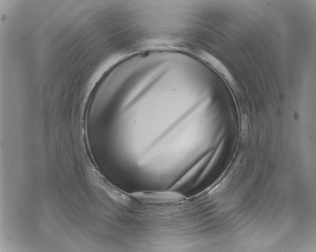 X0000075341435200609251001