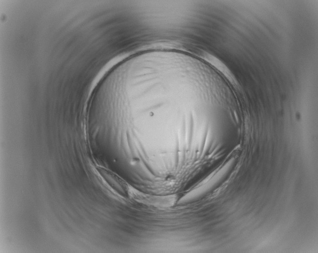 X0000075341436200609251001