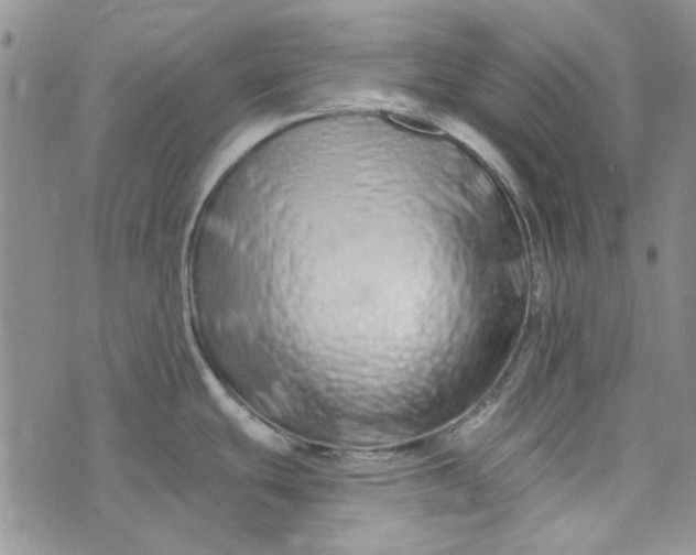 X0000075341439200609251001