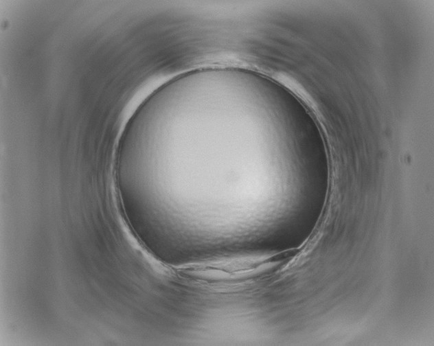 X0000075341440200609251001