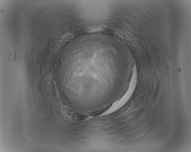 X0000075341441200609251000