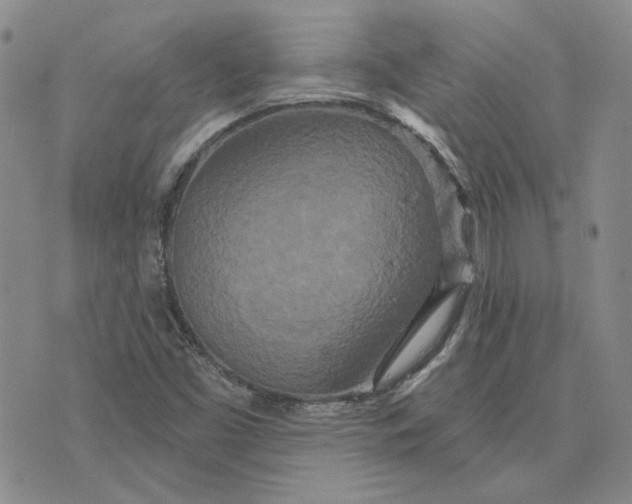 X0000075341453200609251000