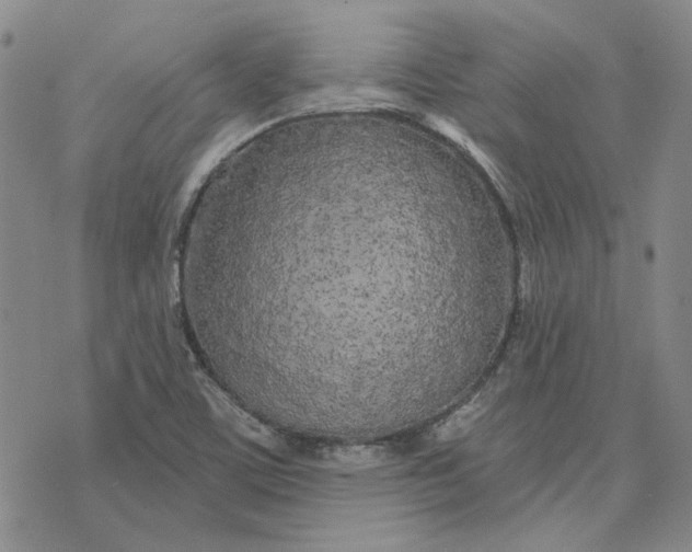 X0000075341459200609251000