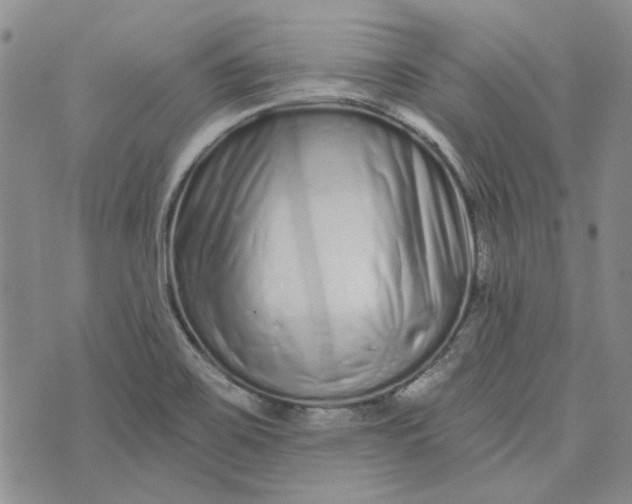 X0000075341467200609251000