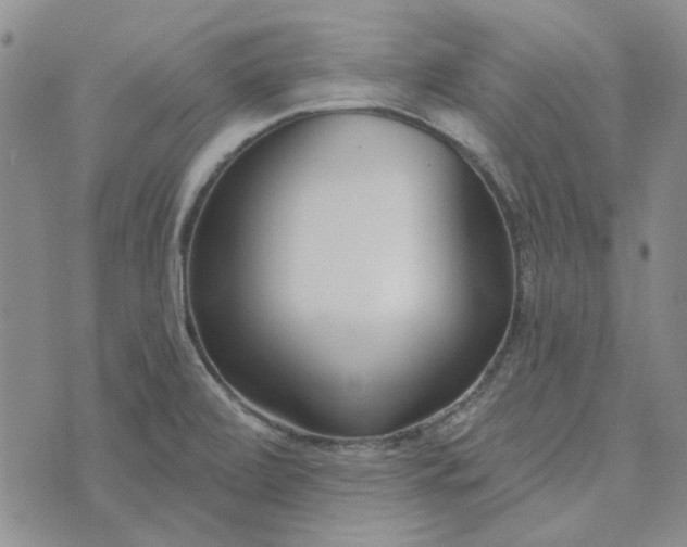 X0000075341472200609250959