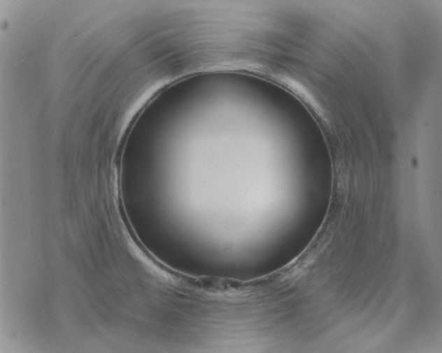 X0000075341476200609250959
