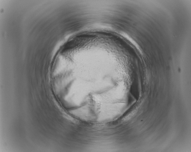 X0000075341477200609250959