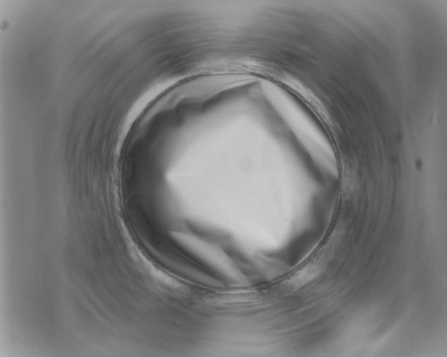 X0000075341486200609250959