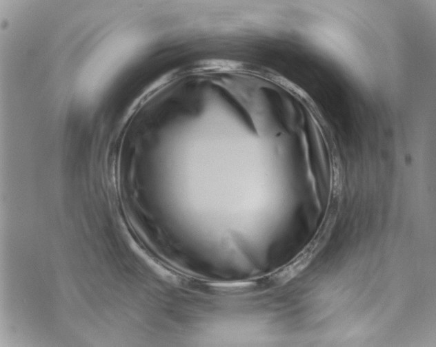 X0000075341487200609250959