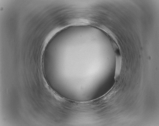 X0000075341488200609250959