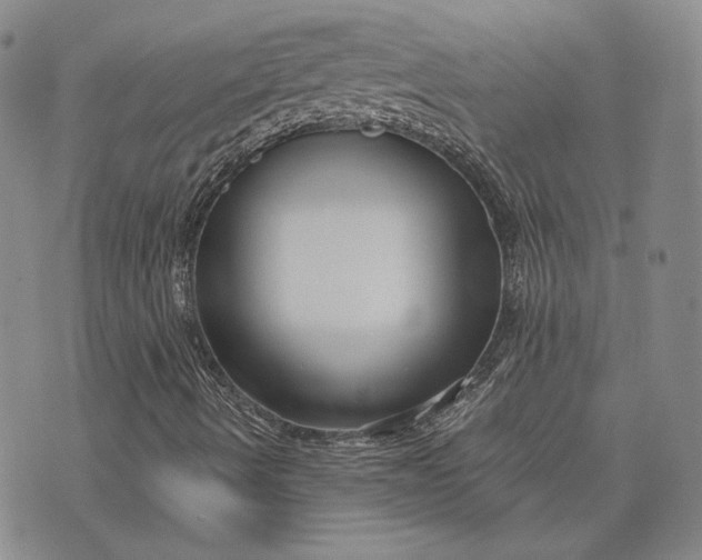 X0000075341490200609250958