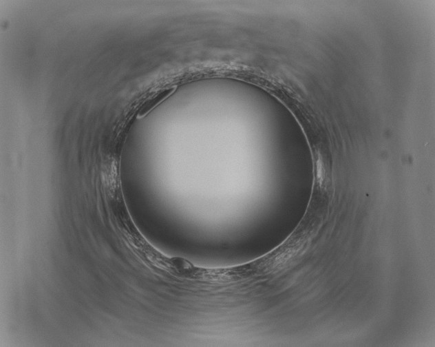 X0000075341492200609250958
