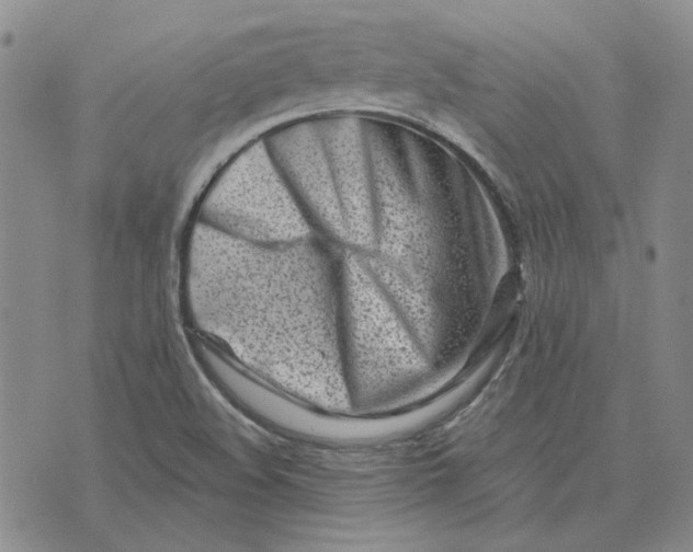 X0000075341508200609250959
