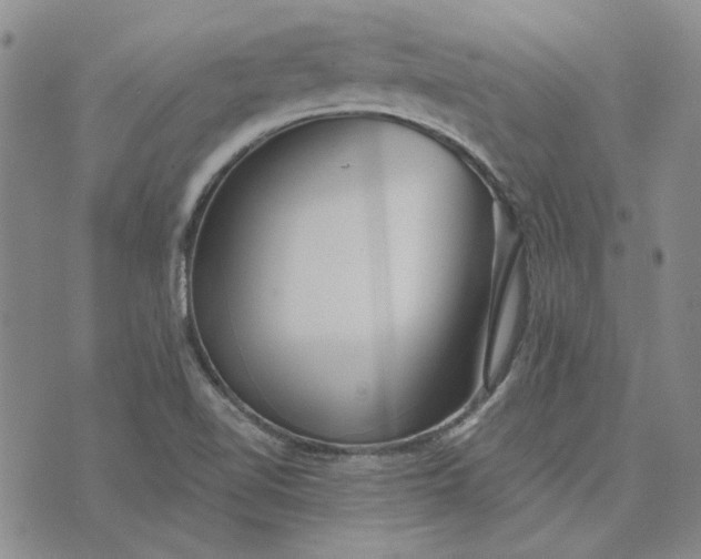 X0000075341510200609250959