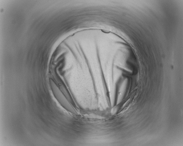 X0000075341536200609250959