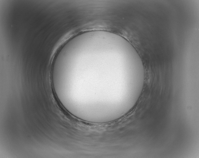 X0000075340004200609292047