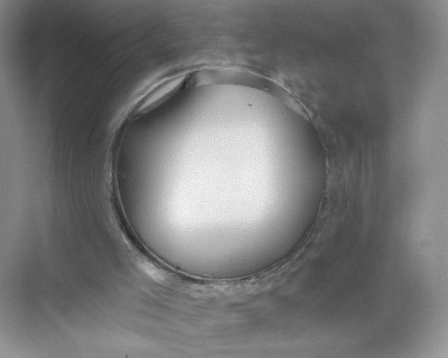 X0000075340005200609292047