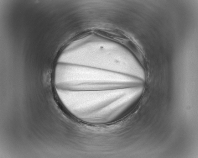 X0000075340010200609292047