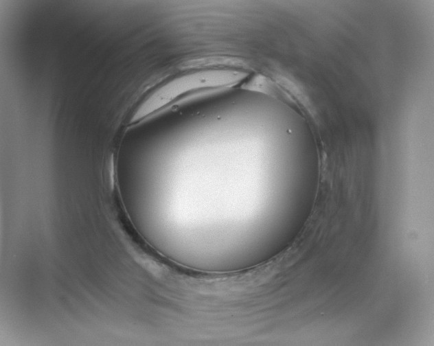 X0000075340013200609292047